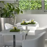 Hotel The One - Designed For Adults - Pet Lovers Riccione