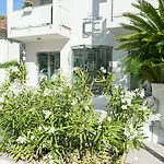 Hotel The One - Designed For Adults - Pet Lovers Riccione