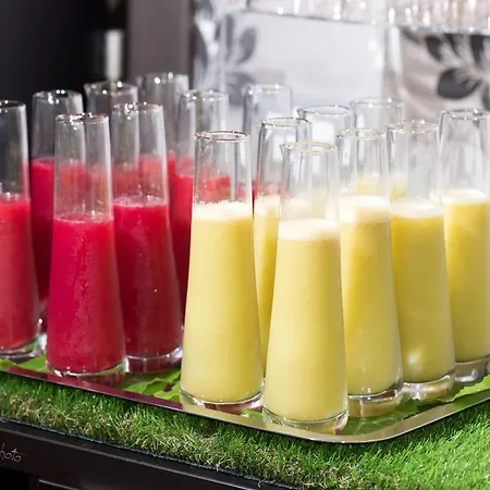 The One - Designed For Adults - Pet Lovers 4*