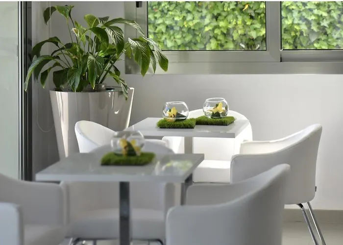 Hotel The One - Designed For Adults - Pet Lovers Riccione