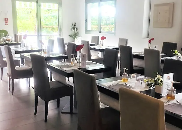 The One - Designed For Adults - Pet Lovers Риччоне