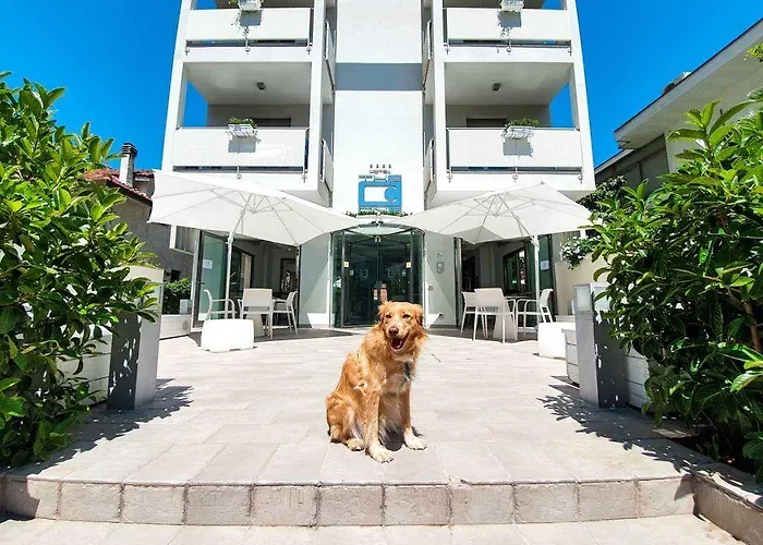 The One - Designed For Adults - Pet Lovers Отель 4*