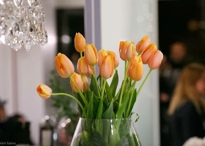 The One - Designed For Adults - Pet Lovers Риччоне