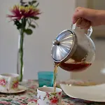 The One - Designed For Adults - Pet Lovers