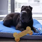 The One - Designed For Adults - Pet Lovers 호텔 리치오네