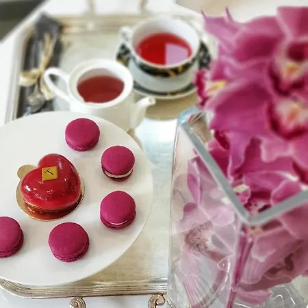 酒店 The One - Designed For Adults - Pet Lovers 4*