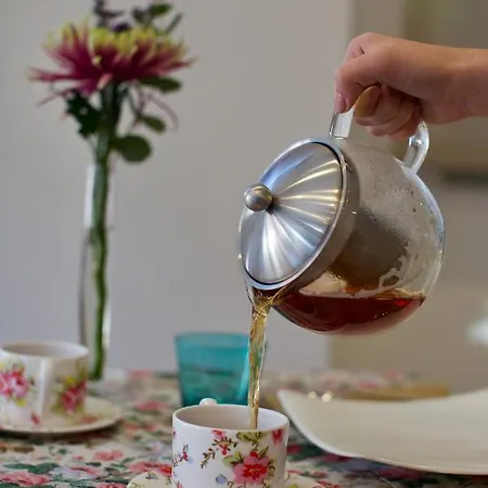 The One - Designed For Adults - Pet Lovers