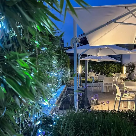 The One - Designed For Adults - Pet Lovers 里乔内