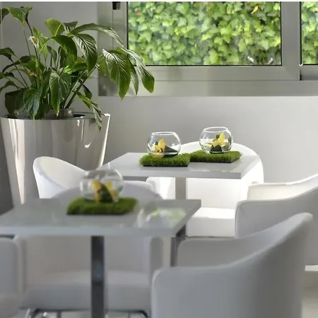 酒店 The One - Designed For Adults - Pet Lovers 里乔内