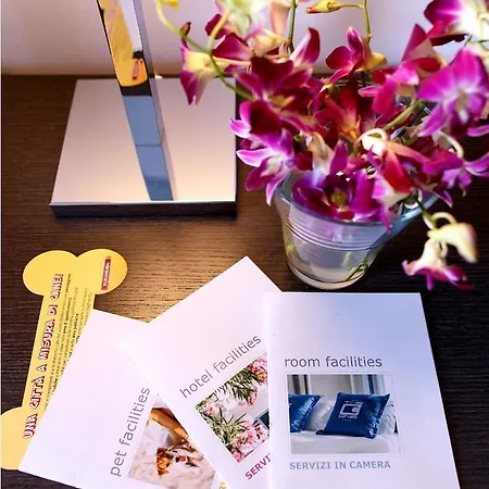 Hotel The One - Designed For Adults - Pet Lovers Riccione