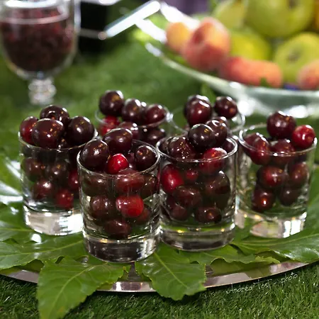 The One - Designed For Adults - Pet Lovers 4* 里乔内