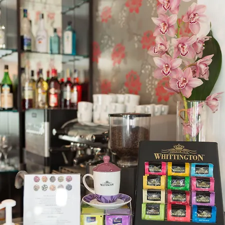 The One - Designed For Adults - Pet Lovers 酒店 里乔内