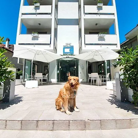 The One - Designed For Adults - Pet Lovers ホテル 4*