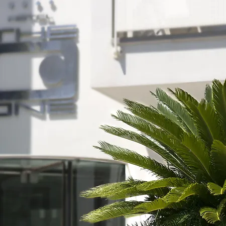 The One - Designed For Adults - Pet Lovers 4* 里乔内