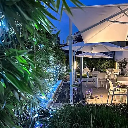 The One - Designed For Adults - Pet Lovers 4*