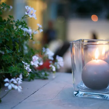 The One - Designed For Adults - Pet Lovers Otel 4*