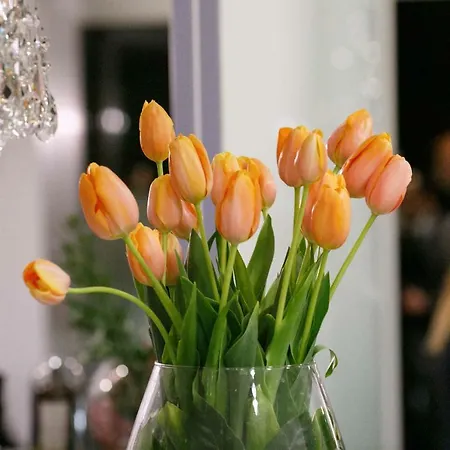 The One - Designed For Adults - Pet Lovers Riccione