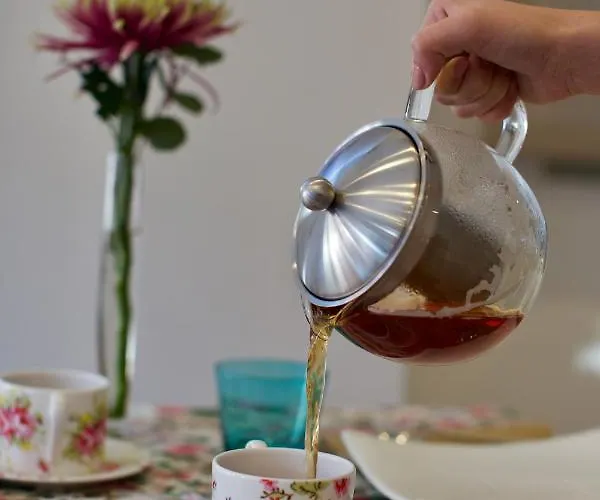 The One - Designed For Adults - Pet Lovers