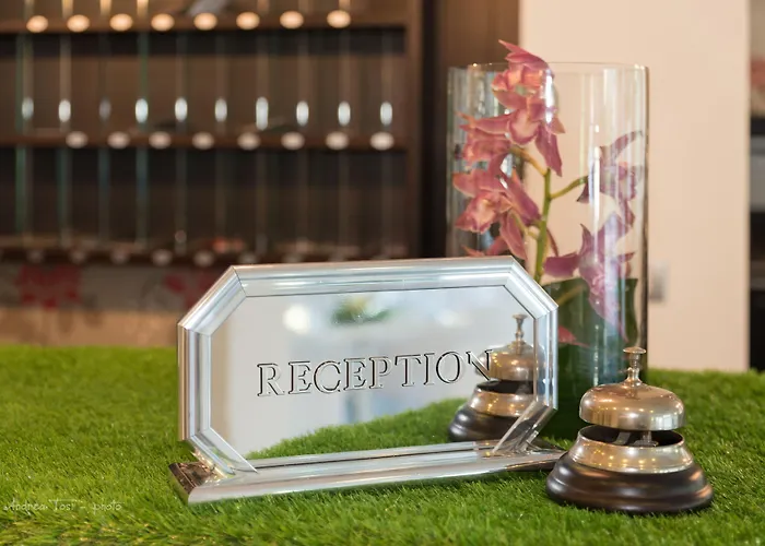 The One - Designed For Adults - Pet Lovers 4*