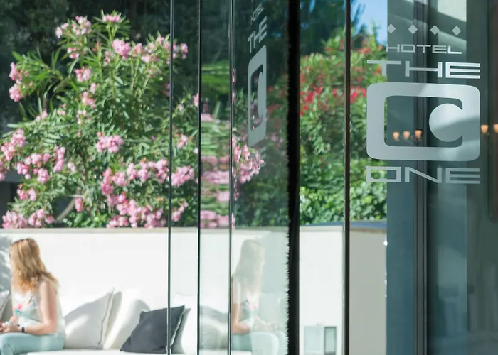 The One - Designed For Adults - Pet Lovers Hotel Riccione