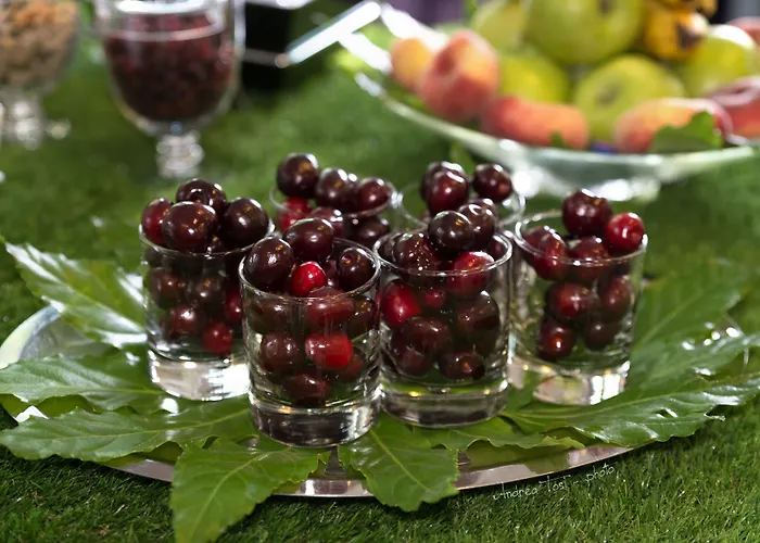 The One - Designed For Adults - Pet Lovers 4* リッチョーネ