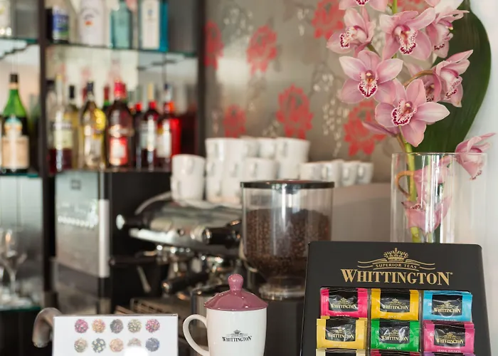 The One - Designed For Adults - Pet Lovers Hotel Riccione