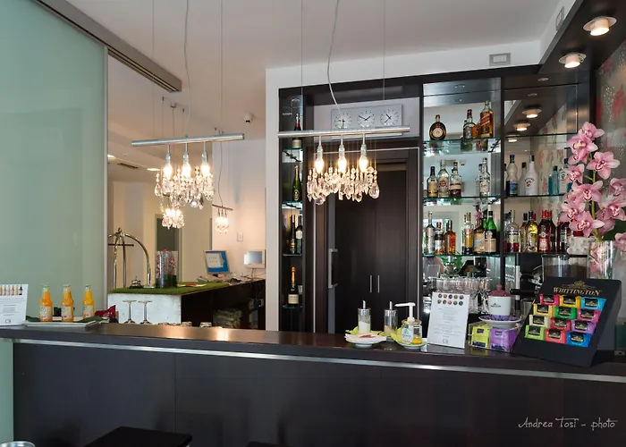 The One - Designed For Adults - Pet Lovers 4*