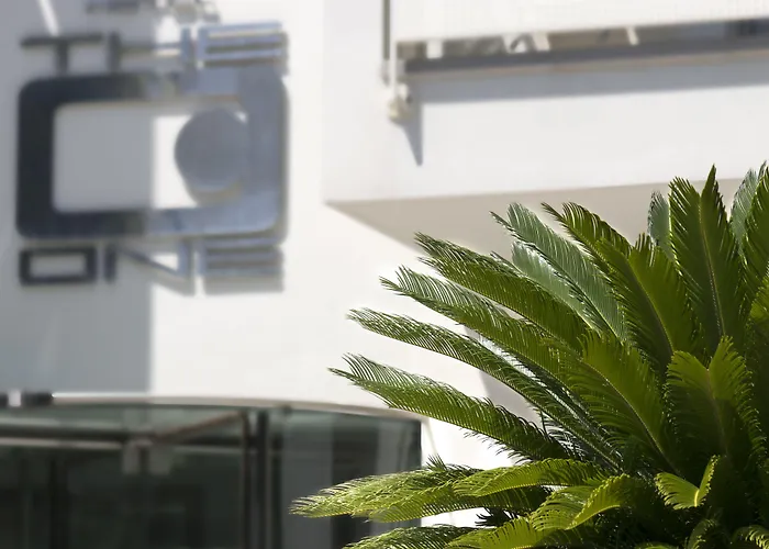 The One - Designed For Adults - Pet Lovers 4* Riccione