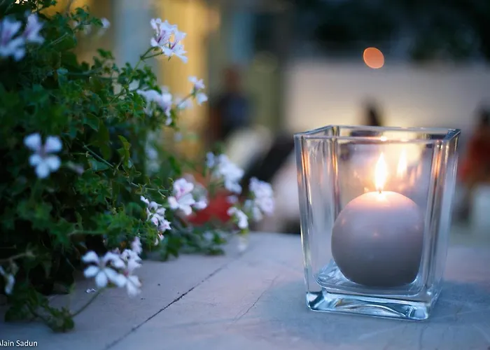 The One - Designed For Adults - Pet Lovers ホテル 4*