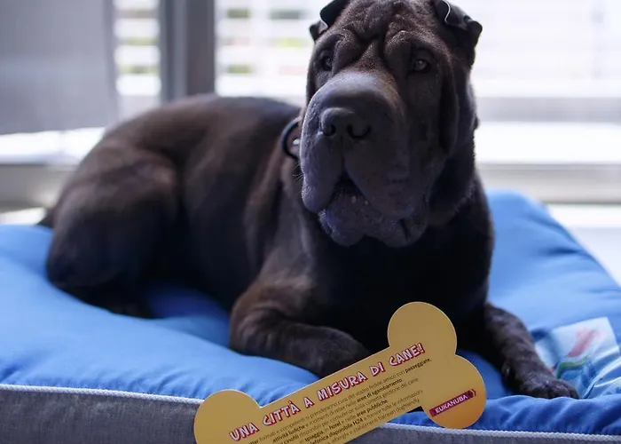 The One - Designed For Adults - Pet Lovers ホテル リッチョーネ